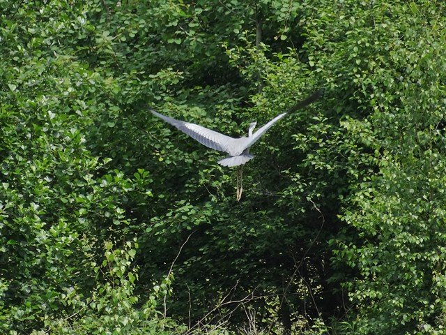kolejna-wyprawa-z-kijkami-i-atrakcjami-foto-58673