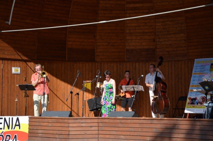 goracy-koncert-promenadowy-w-parku-zdrojowym-foto-58786