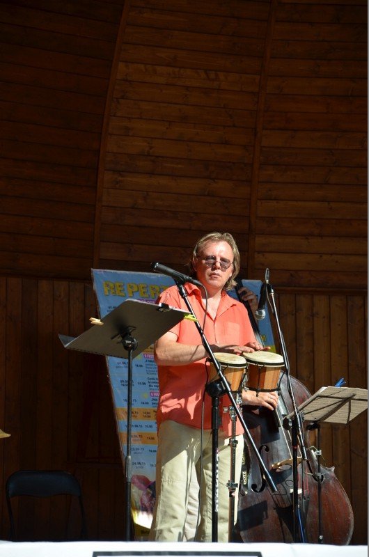 goracy-koncert-promenadowy-w-parku-zdrojowym-foto-58786