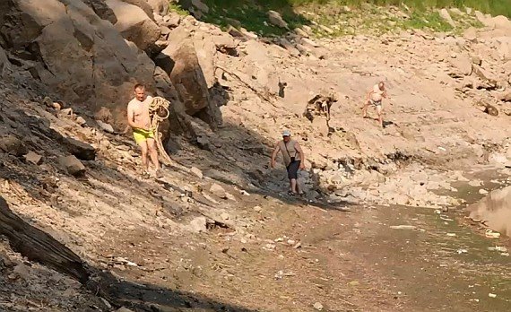 uratowano-jelenia-uwiezionego-w-mule-foto-video-58825