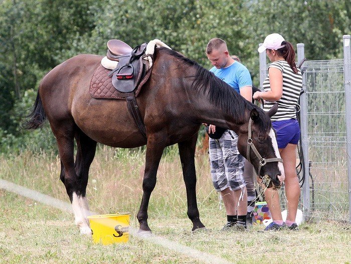 omot-od-trzecioligowca-z-okazji-dni-strzyzowca-foto-58901