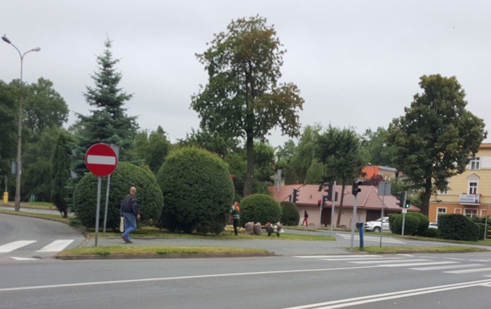 pracownicy-mpgk-kosza-i-pielegnuja-foto-58910
