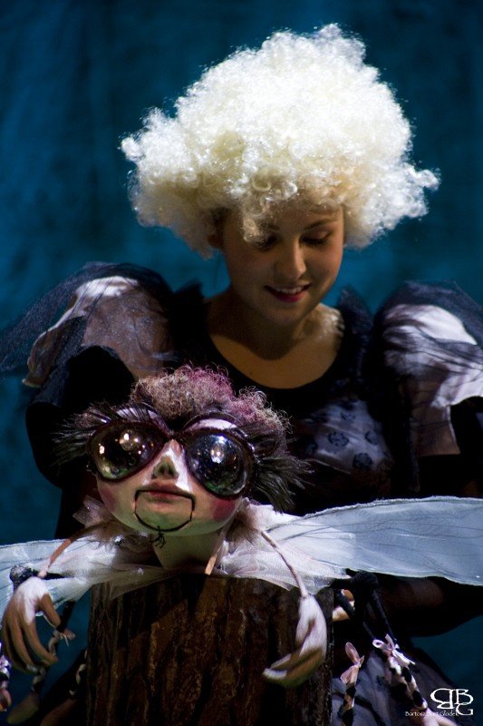 sukces-zdrojowego-teatru-animacji-foto-58917