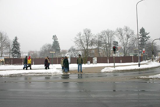 hamburger-w-aucie-5903