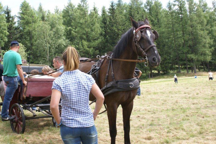 festyn-rodzinny-na-rzecz-kaplicy-sw-anny-foto-59086