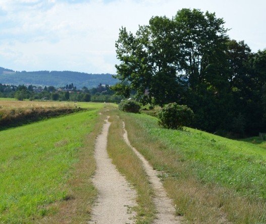 dlaczego-na-cieplickich-waach-brakuje-awek-foto-59120