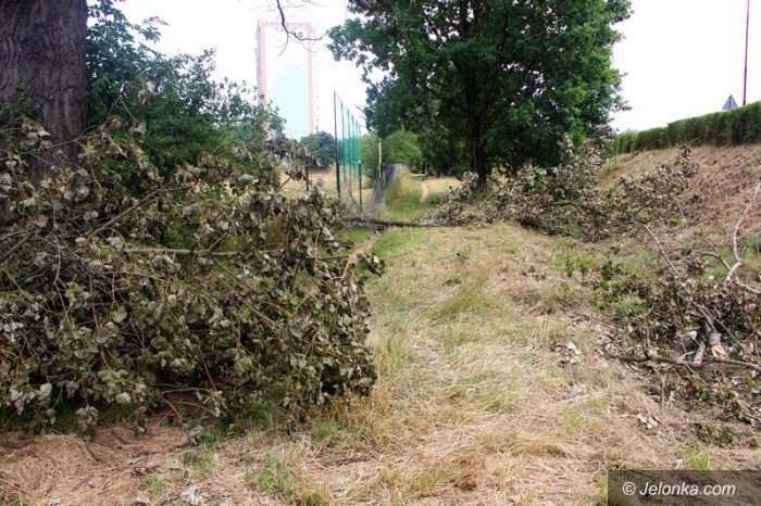 inicjatywa-obywatelska-w-trakcie-realizacji-foto-59123