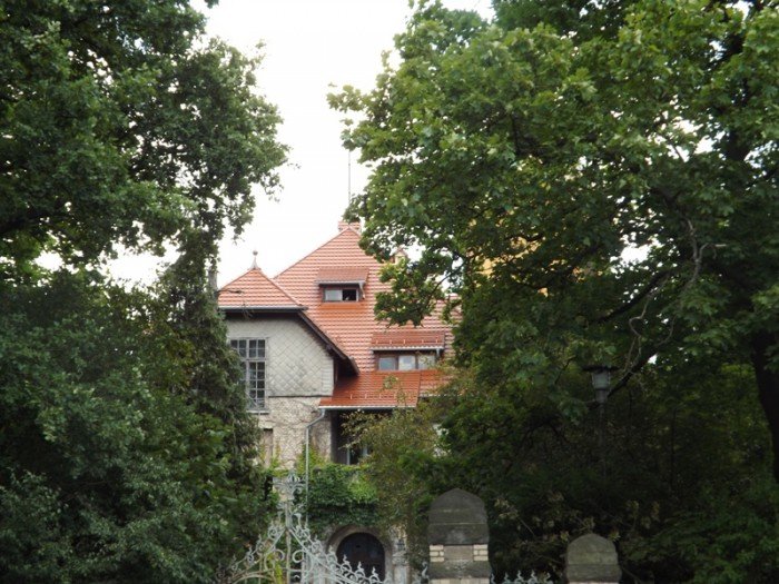 co-z-remontem-zabobrzanskiego-paacyku-foto-59133