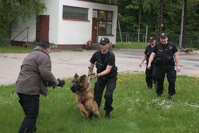 starosta-przekazaa-czek-na-zakup-psa-policyjnego-foto-59143