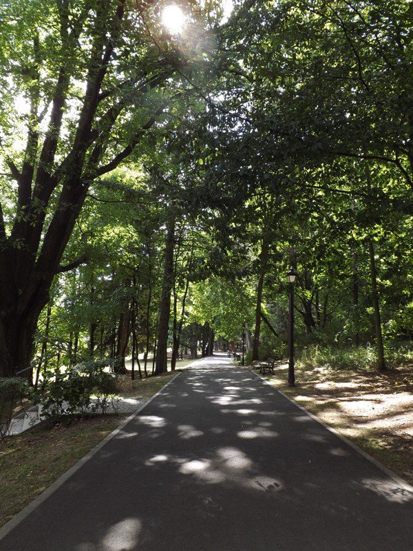 co-dalej-z-parkiem-na-wzgorzu-kosciuszki-foto-59223