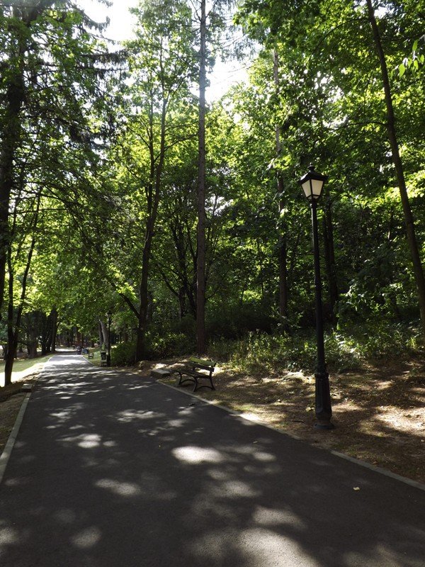 co-dalej-z-parkiem-na-wzgorzu-kosciuszki-foto-59223