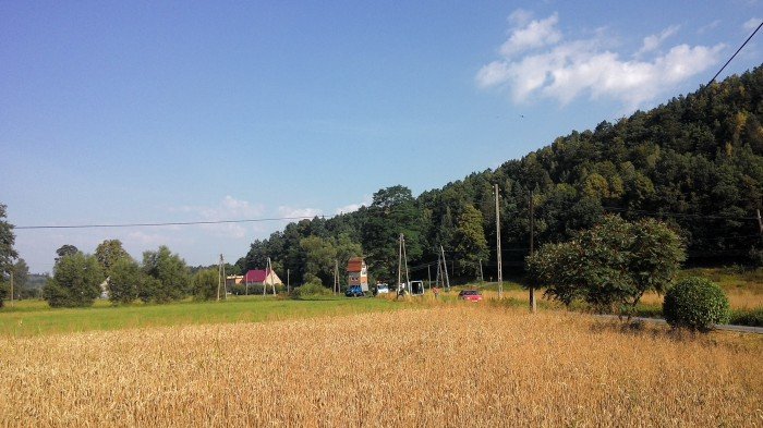 w-trzcinsku-grasowali-zodzieje-kabli-foto-59254