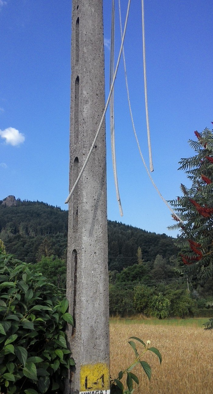 w-trzcinsku-grasowali-zodzieje-kabli-foto-59254