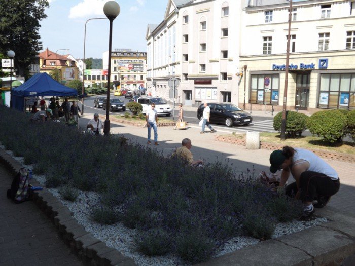 czytelnik-niech-ktos-podleje-mode-drzewka-foto-59271