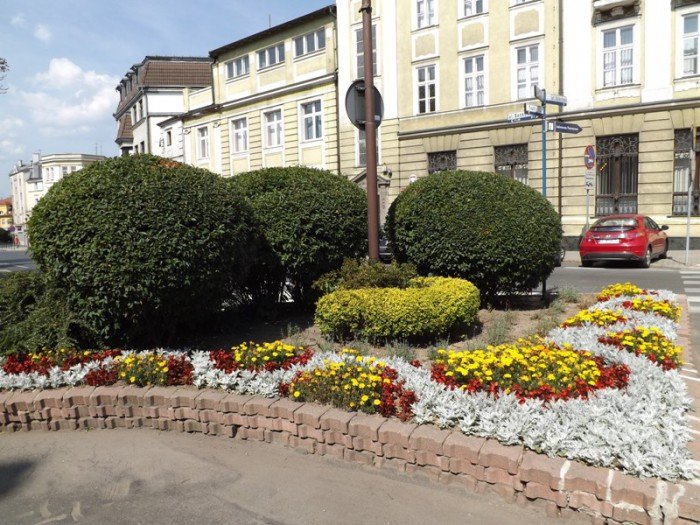 czytelnik-niech-ktos-podleje-mode-drzewka-foto-59271