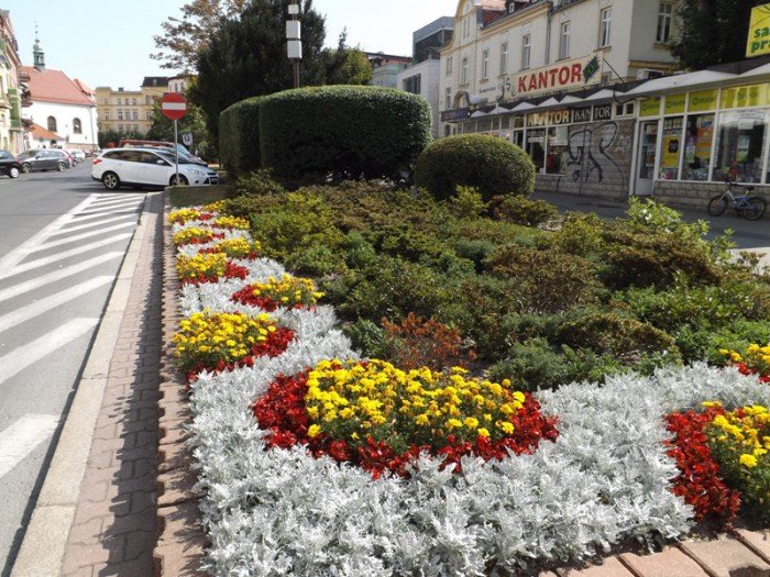 czytelnik-niech-ktos-podleje-mode-drzewka-foto-59271