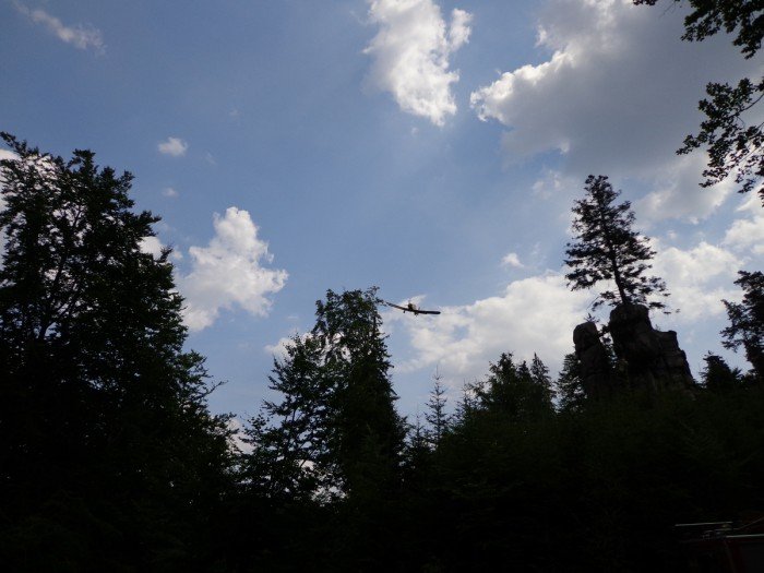 pozar-lasu-w-rudawach-janowickich-foto-59276