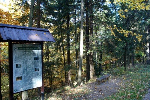 kolejny-spacer-po-kowarach-warto-sie-wybrac-foto-59334