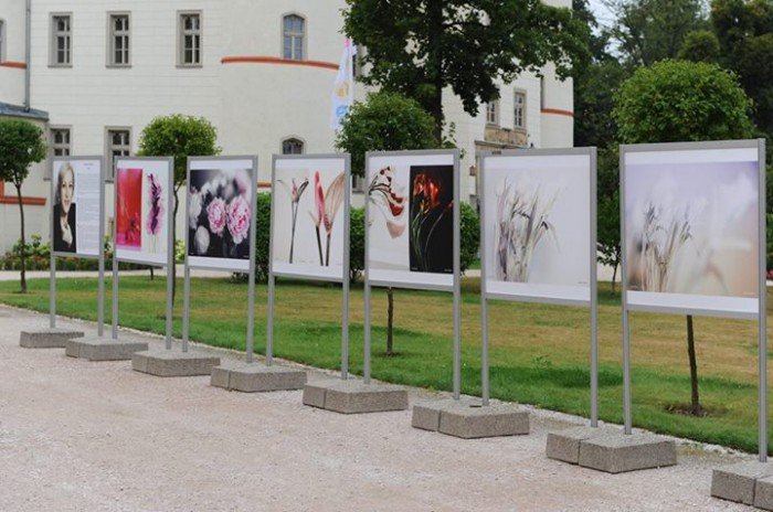 festival-dell-arte-trwa-w-najlepsze-foto-59437