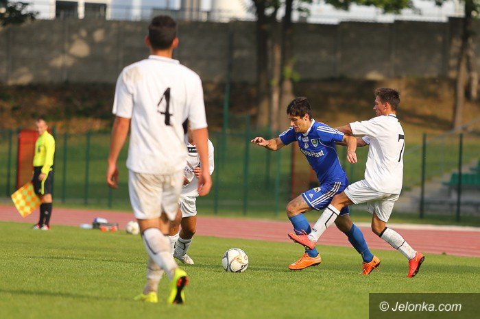 ldjs-czerwone-polkowice-rozbite-foto-59454