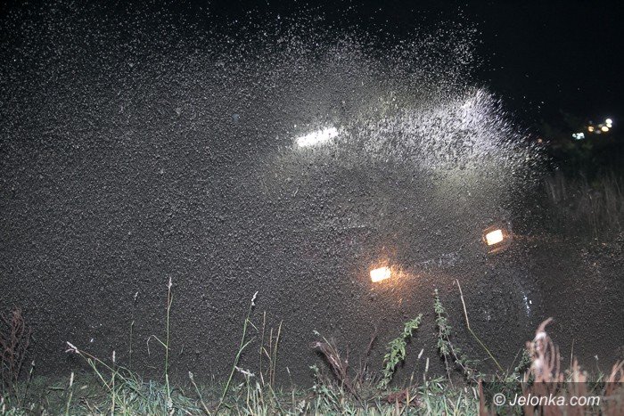 piknik-w-bocie-czyli-to-co-lubia-twardziele-foto-59610
