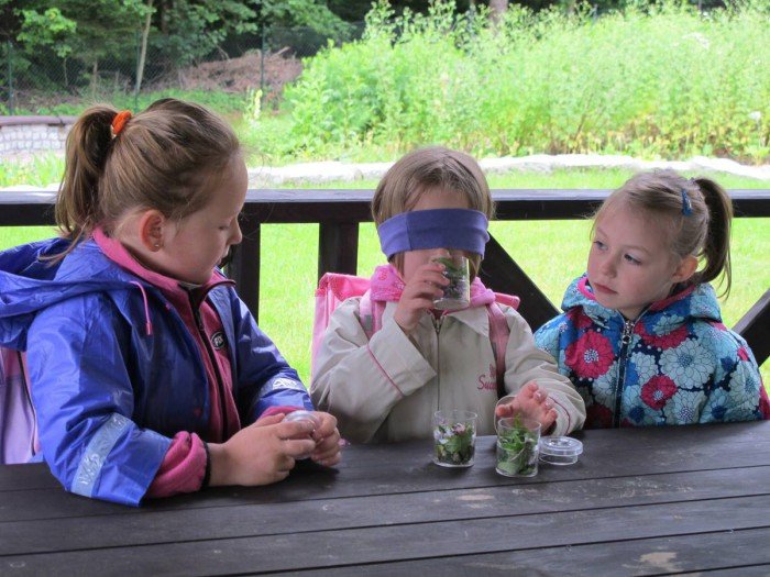 piknik-pod-chojnikiem-z-mnostwem-atrakcji-foto-59666