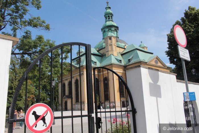 psy-w-parkach-rozstrzygnie-sad-59679