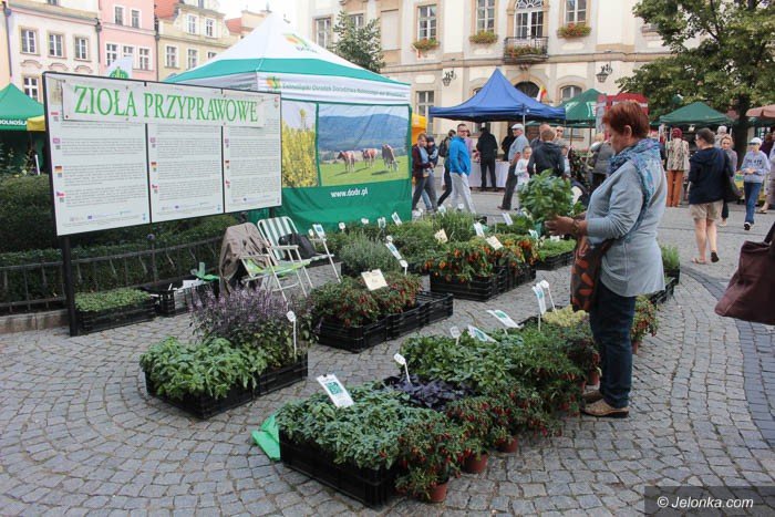 ekozywnosc-i-rekodziea-na-topie-foto-59705