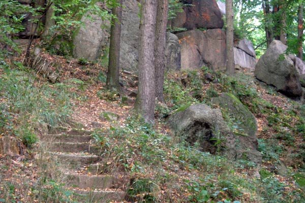 sekretne-sciezki-wzgorza-paulinum-5974