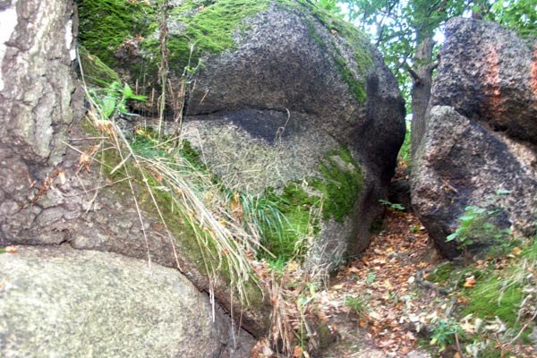 sekretne-sciezki-wzgorza-paulinum-5974