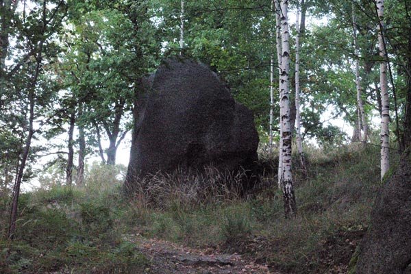 sekretne-sciezki-wzgorza-paulinum-5974