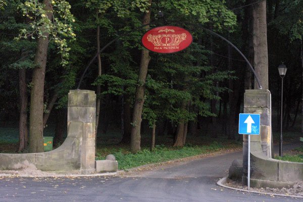 sekretne-sciezki-wzgorza-paulinum-5974