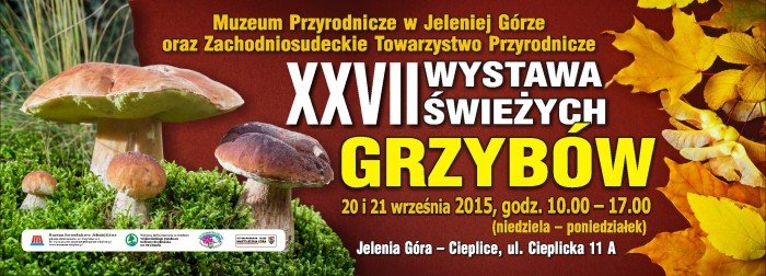 xxvii-wystawa-swiezych-grzybow-w-cieplicach-59911