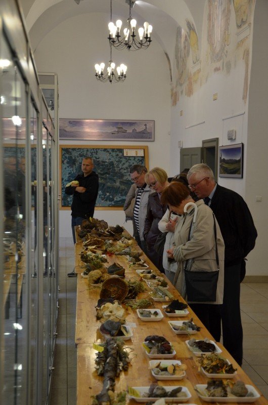 160-gatunkow-grzybow-w-muzeum-przyrodniczym-foto-59959