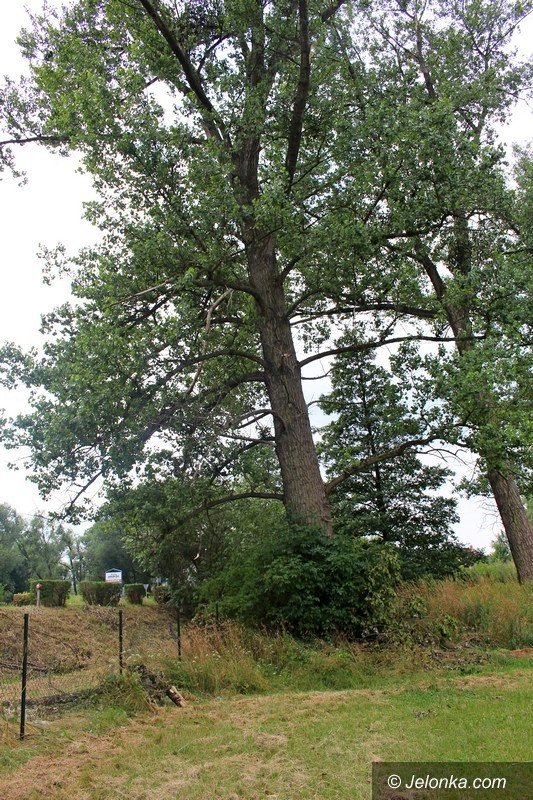 boisko-na-doku-dla-wszystkich-foto-60006