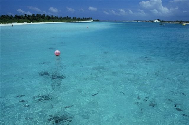 Wysepka Lankanfinelhu (dla turystów Paradise Island) ma wymiary 800x200 m.