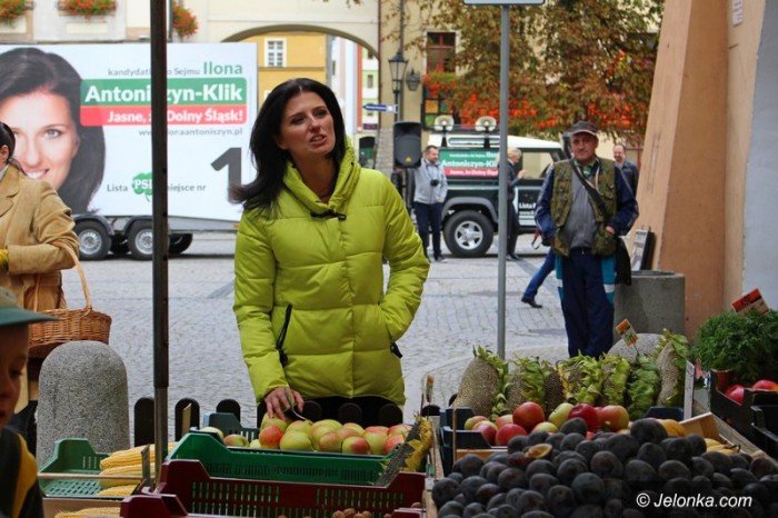 psl-prezentowao-kandydatow-w-jeleniej-gorze-foto-60097