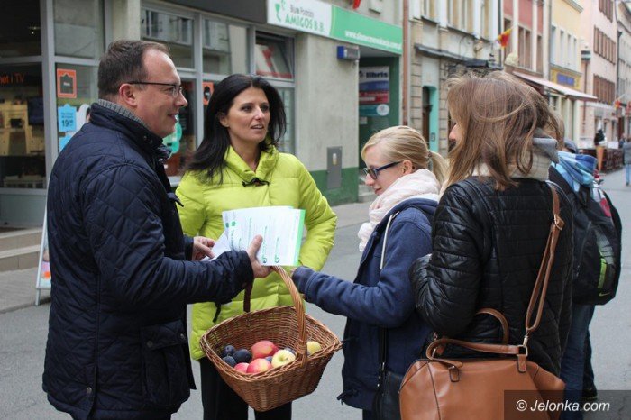 psl-prezentowao-kandydatow-w-jeleniej-gorze-foto-60097