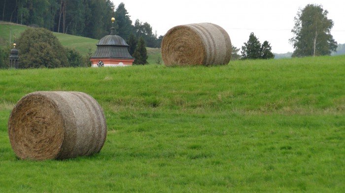 czeska-szwajcaria-wycieczka-autokarem-i-pieszo-foto-60114