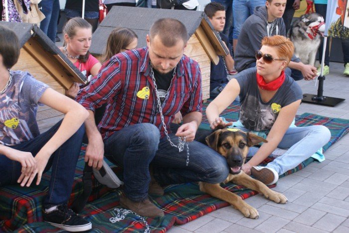 walczyli-o-prawa-zwierzat-zrywali-ancuchy-foto-60131