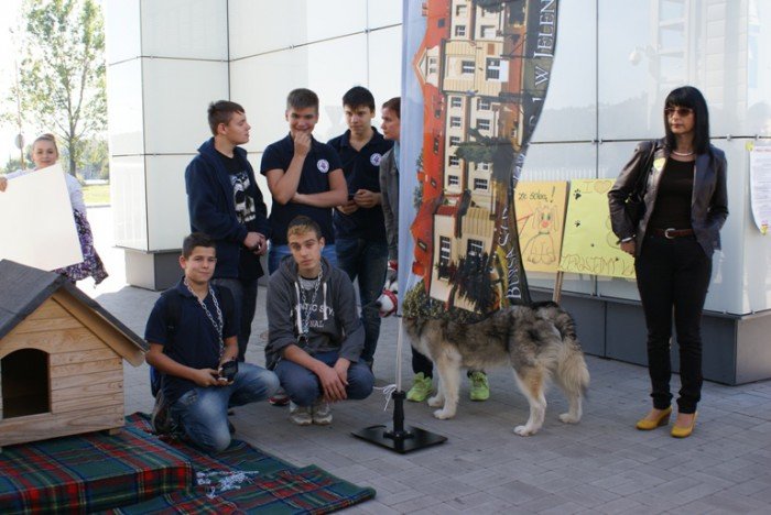 walczyli-o-prawa-zwierzat-zrywali-ancuchy-foto-60131