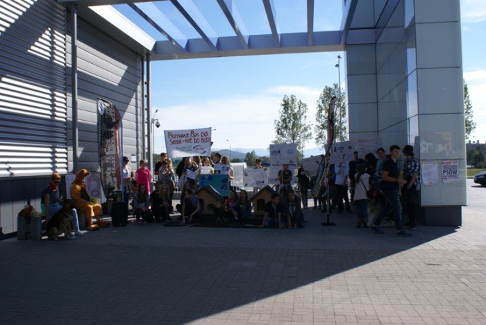 walczyli-o-prawa-zwierzat-zrywali-ancuchy-foto-60131