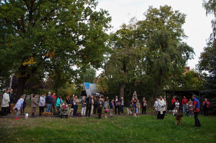 po-dorocznym-swieceniu-zwierzat-foto-60140
