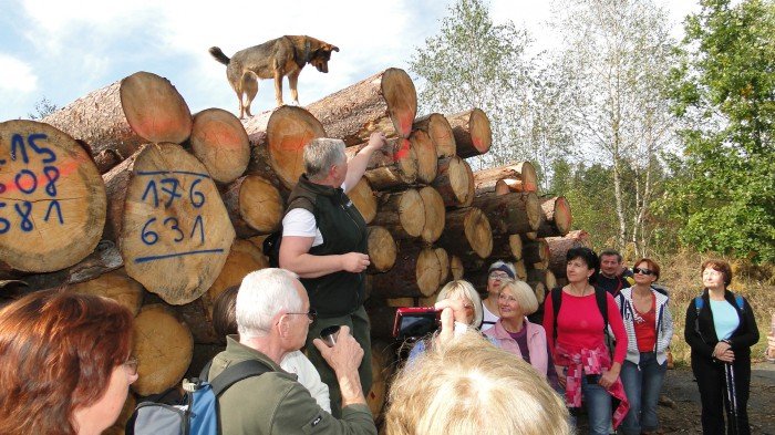 ekscytujaca-wyprawa-do-szkoki-kontenerowej-foto-60306