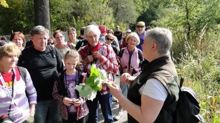 ekscytujaca-wyprawa-do-szkoki-kontenerowej-foto-60306