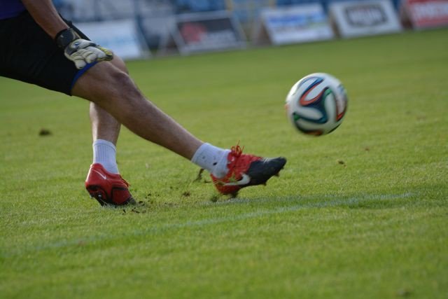 sleza-zagosci-przy-zotniczej-60312