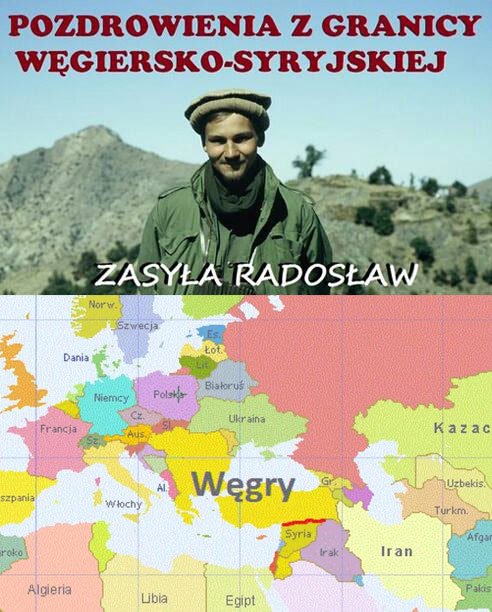 jelonekbronek