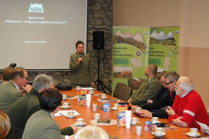 nietoperze-wrog-czy-przyjaciel-foto-60322