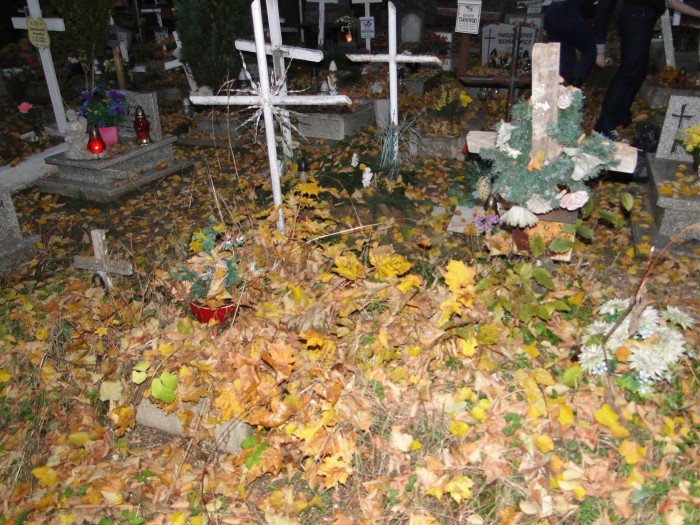 modziez-posprzataa-zapomniane-groby-foto-60458