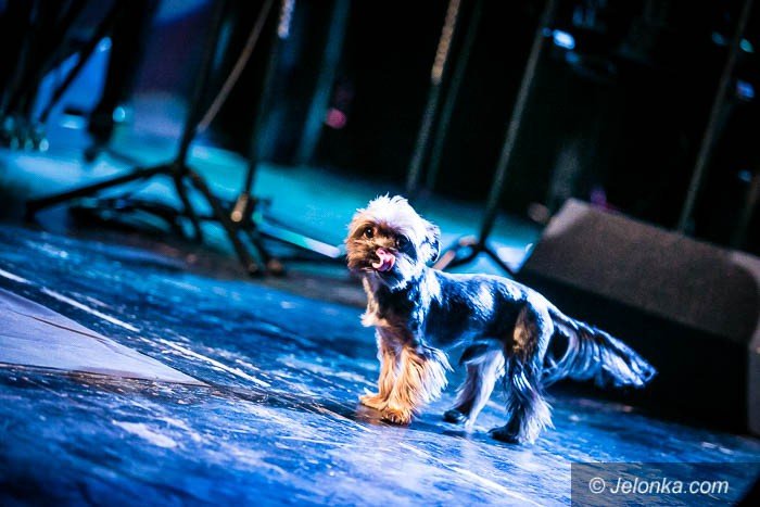 xiv-krokus-jazz-festiwal-rozstrzygniety-foto-60460